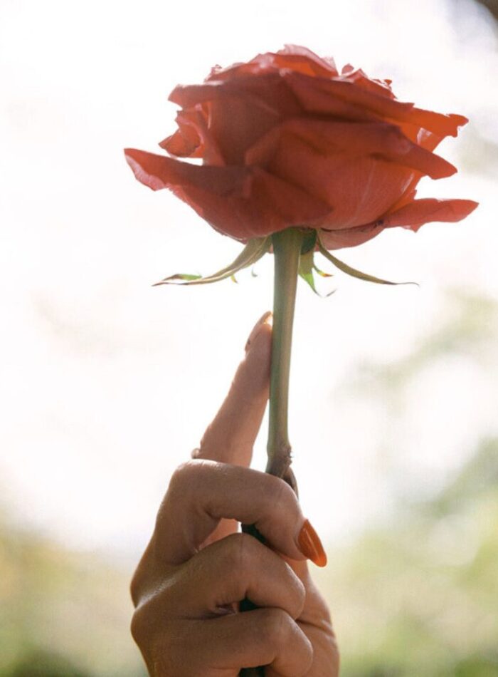 Homecoming site images (3)