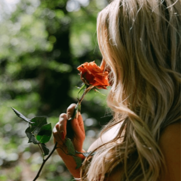 Sacred Rose Cora Image